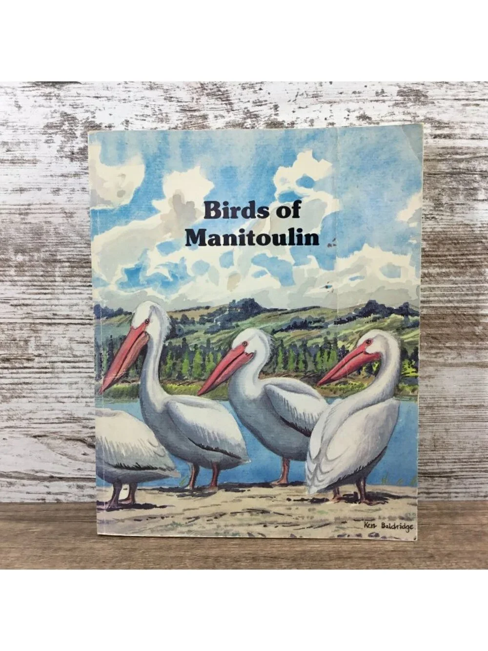 Birds Of Manitoulin Island By John C. Nicholson Second Edition Revised 1981